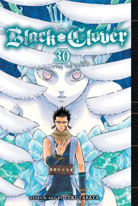 Black Clover GN Vol 30