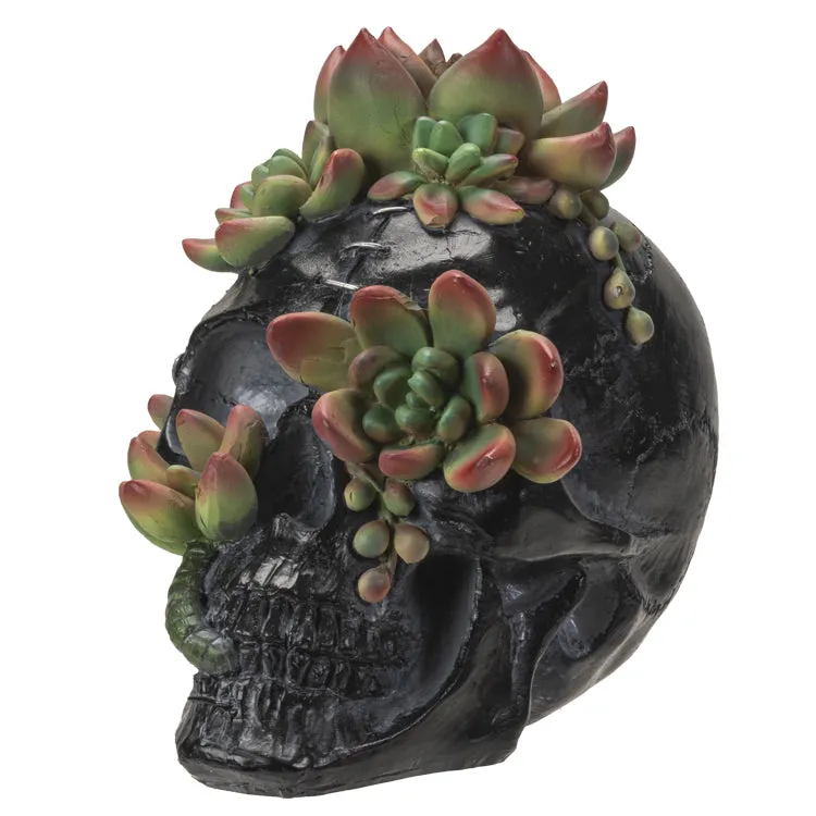 Skull With Succulents