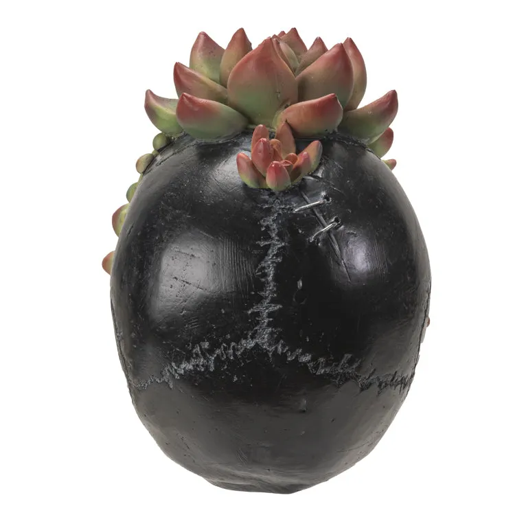 Skull With Succulents