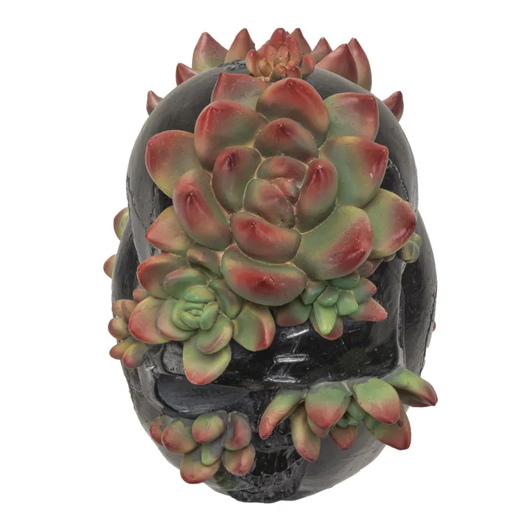 Skull With Succulents